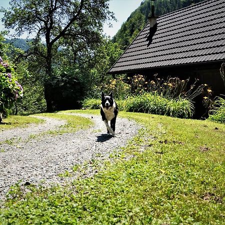 Linca Hiska Pod Slapom Vila Podvelka Exterior foto